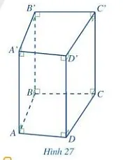 Quan sát lăng trụ đứng tam giác ABCD. A’B’C’D’ ở Hình 27 Hoat Dong 6 Trang 83 Toan 7 Tap 1 128270