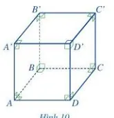 Quan sát hình lập phương ABCD.A'B'C'D' ở Hình 10 Hoat Dong 7 Trang 78 Toan 7 Tap 1 128176