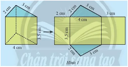 Hãy quan sát lăng trụ đứng tam giác (Hình 1) và thực hiện các yêu cầu sau Kham Pha 1 Trang 59 Toan 7 Tap 1