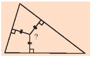 Khởi động trang 79 Toán 7 Tập 2 Chân trời sáng tạo | Giải Toán lớp 7 Khoi Dong Trang 79 Toan 7 Tap 2 145018