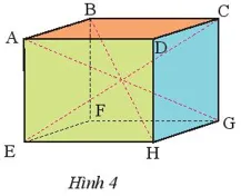 Quan sát hình hộp chữ nhật ABCD.EFGH (Hình 4) và thực hiện các yêu cầu sau Thuc Hanh 1 Trang 48 Toan 7 Tap 1