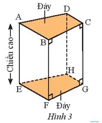 Quan sát hình lăng trụ đứng tứ giác trong Hình 3 Thuc Hanh 1 Trang 56 Toan 7 Tap 1