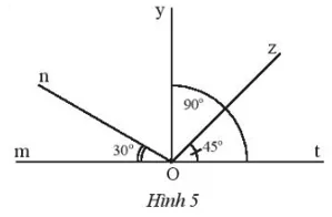 Quan sát Hình 5 Thực hành 1 trang 69 Toán lớp 7 Tập 1 Thuc Hanh 1 Trang 69 Toan 7 Tap 1