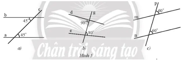 Tìm các cặp đường thẳng song song trong Hình 5 và giải thích Thuc Hanh 1 Trang 77 Toan 7 Tap 1