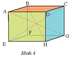 Cho hình hộp chữ nhật ABCD.EFGH (Hình 4) có AD = 8 cm, DC = 5 cm, DH = 6,5 cm Thuc Hanh 2 Trang 48 Toan 7 Tap 1