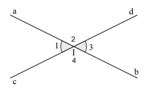 Vẽ hai đường thẳng ab và cd cắt nhạu tại điểm I Thuc Hanh 2 Trang 70 Toan 7 Tap 1 1