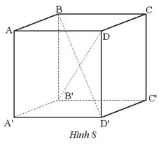 Quan sát hình lập phương ABCD.A’B’C’D’ có AB = 5 cm (Hình 8) Thuc Hanh 3 Trang 49 Toan 7 Tap 1