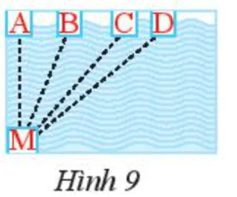 Vận dụng 2 trang 66 Toán 7 Tập 2 Chân trời sáng tạo | Giải Toán lớp 7 Van Dung 2 Trang 66 Toan 7 Tap 2 144898