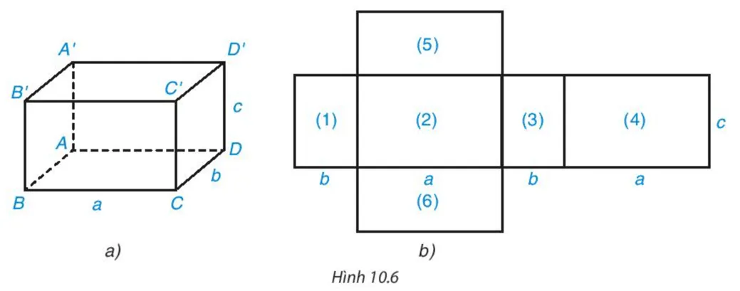 HĐ4 trang 87 Toán 7 Tập 2 | Kết nối tri thức Giải Toán lớp 7 Hd4 Trang 87 Toan 7 Tap 2 148016