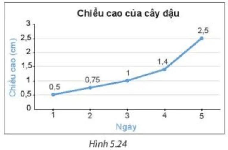 Để vẽ biểu đồ đoạn thẳng biểu diễn số liệu về chiều cao cây đậu trong Bảng 5.1 Thuc Hanh Trang 103 Toan 7 Tap 1 5