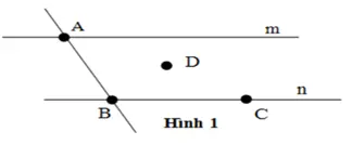 Trắc nghiệm: Điểm. Đường thẳng - Bài tập Toán lớp 6 chọn lọc có đáp án, lời giải chi tiết Trac Nghiem Diem Duong Thang 5