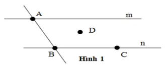 Trắc nghiệm: Điểm. Đường thẳng - Bài tập Toán lớp 6 chọn lọc có đáp án, lời giải chi tiết Trac Nghiem Diem Duong Thang 6