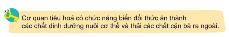 Tự nhiên xã hội lớp 3 Bài 15 trang 86 Câu hỏi | Cánh diều Cau Hoi Trang 86