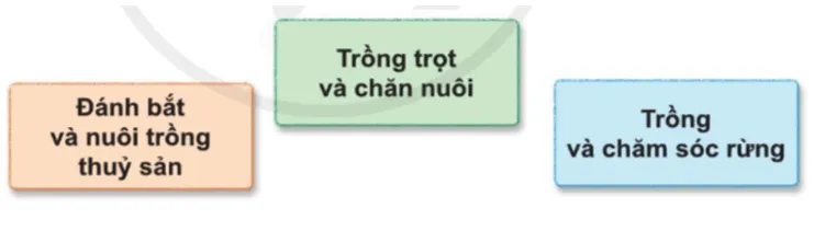 Tự nhiên xã hội lớp 3 Bài 9 trang 43 Quan sát | Cánh diều Quan Sat Trang 43 2