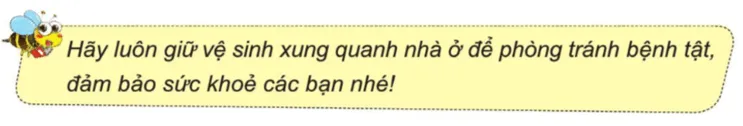 Tự nhiên xã hội lớp 3 Bài 4 trang 21 Thực hành | Cánh diều Thuc Hanh Trang 21 2