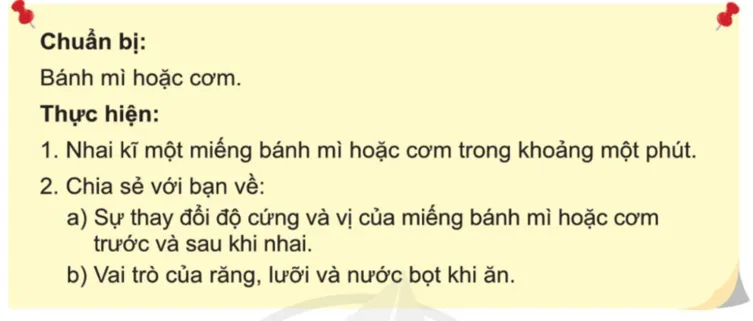 Tự nhiên xã hội lớp 3 Bài 15 trang 85 Thực hành | Cánh diều Thuc Hanh Trang 85