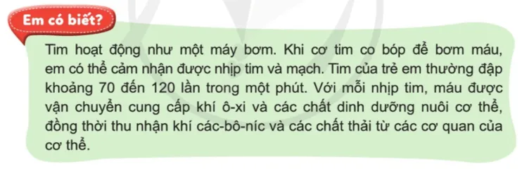 Tự nhiên xã hội lớp 3 Bài 16 trang 89 Thực hành | Cánh diều Thuc Hanh Trang 89 2