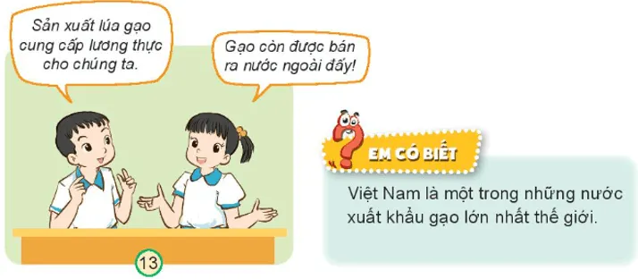 Tự nhiên xã hội lớp 3 Bài 9 trang 38 Khám phá - Kết nối tri thức Kham Pha Trang 38 1