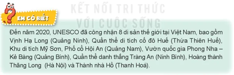 Tự nhiên xã hội lớp 3 Bài 11 trang 48, 49 Khám phá - Kết nối tri thức Kham Pha Trang 48 49 4