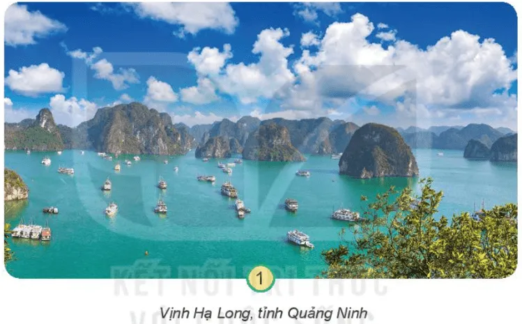 Tự nhiên xã hội lớp 3 Bài 11 trang 48, 49 Khám phá - Kết nối tri thức Kham Pha Trang 48 49