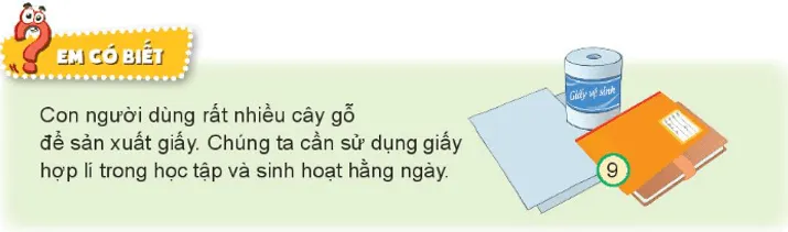 Tự nhiên xã hội lớp 3 Bài 16 trang 68, 69 Khám phá - Kết nối tri thức Kham Pha Trang 68 69 2