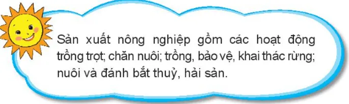 Tự nhiên xã hội lớp 3 Bài 9 trang 37 Thực hành - Kết nối tri thức Thuc Hanh Trang 37