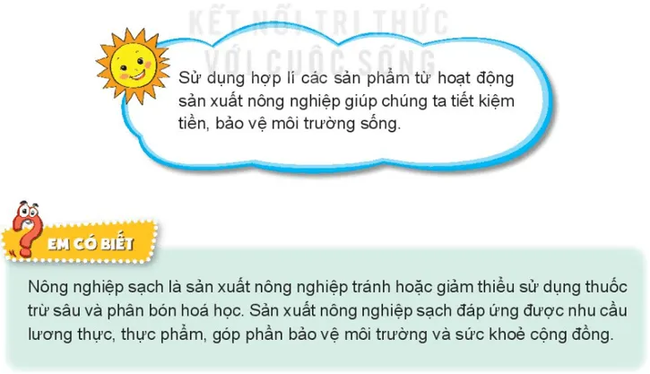 Tự nhiên xã hội lớp 3 Bài 9 trang 40 Thực hành - Kết nối tri thức Thuc Hanh Trang 40 1