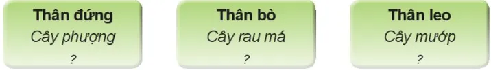 Tự nhiên xã hội lớp 3 Bài 13 trang 56 Thực hành - Kết nối tri thức Thuc Hanh Trang 56