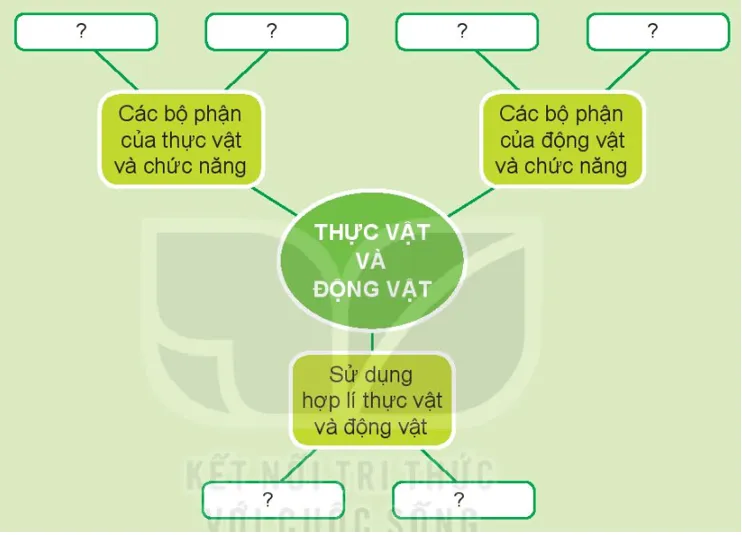 Tự nhiên xã hội lớp 3 Bài 17 trang 72 Thực hành - Kết nối tri thức Thuc Hanh Trang 72