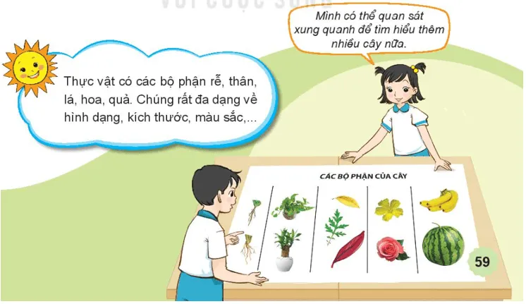 Tự nhiên xã hội lớp 3 Bài 13 trang 59 Vận dụng - Kết nối tri thức Van Dung Trang 59 1