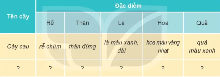 Tự nhiên xã hội lớp 3 Bài 13 trang 59 Vận dụng - Kết nối tri thức Van Dung Trang 59