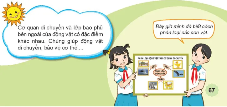 Tự nhiên xã hội lớp 3 Bài 15 trang 67 Vận dụng - Kết nối tri thức Van Dung Trang 67 2