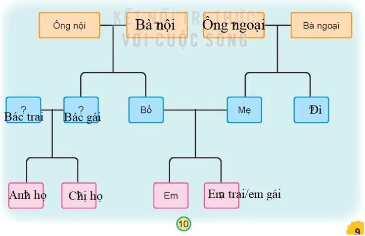 Tự nhiên xã hội lớp 3 Bài 1 Trang 9 Vận dụng - Kết nối tri thức Van Dung Trang 9 1