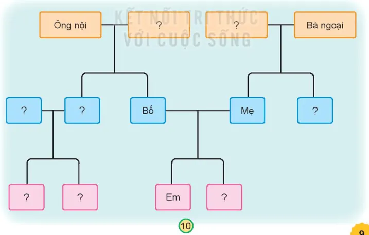 Tự nhiên xã hội lớp 3 Bài 1 Trang 9 Vận dụng - Kết nối tri thức Van Dung Trang 9