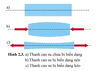 Thảo luận về kết quả (hình dạng, kích thước) của biến dạng kéo và biến dạng nén ở hình 2.3b và 2.3c Cau Hoi 1 Trang 114 Vat Li 10