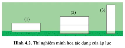 So sánh độ lớn áp lực, diện tích bị ép của trường hợp (2), (3) với trường hợp (1) (hình 4.2) Cau Hoi 2 Trang 62 Vat Li 10