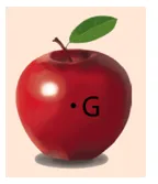 Biểu diễn trọng lực tác dụng lên quả táo (G là trọng tâm) Cau Hoi 3 Trang 50 Vat Li 10