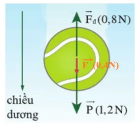 Xác định độ lớn và hướng của hợp lực F bằng cách dựng các vectơ lực P Cau Hoi 3 Trang 66 Vat Li 10