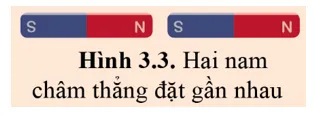 Hãy biểu diễn cặp lực phản lực giữa hai cực từ gần nhau của hai nam châm ở hình 3.3 Cau Hoi 4 Trang 60 Vat Li 10