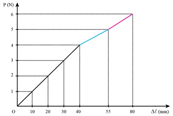 Bảng dưới đây là số liệu của một thí nghiệm về độ giãn lò xo Luyen Tap 2 Trang 116 Vat Li 10