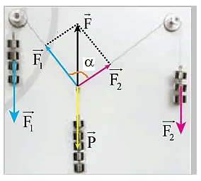 Thí nghiệm ở hình 5.6 cho phép nghiệm lại kết quả tổng hợp hai lực F1, F2 vuông góc với nhau Thuc Hanh Trang 67 Vat Li 10 A