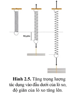 Đồ thị hình 2.9 biểu diễn mối quan hệ giữa lực tác dụng vào đầu dưới lò xo Van Dung Trang 117 Vat Li 10 A
