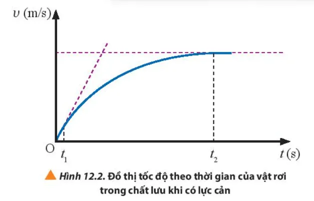 Xét một vật rơi trong không khí có đồ thị tốc độ rơi theo thời gian được biểu diễn Bai 1 Trang 77 Vat Li 10