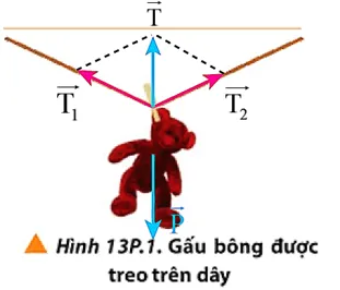 Một gấu bông được phơi trên dây treo nhẹ như Hình 13P.1 Bai 1 Trang 86 Vat Li 10 1