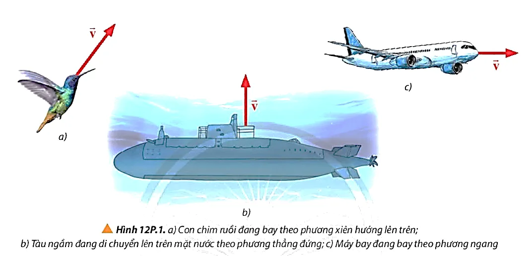 Hãy vẽ lực cản của không khí hoặc nước tác dụng lên các vật trong các trường hợp Bai 2 Trang 77 Vat Li 10