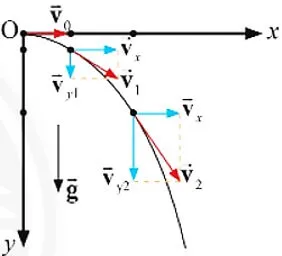 Lập luận để rút ra các phương trình mô tả quỹ đạo chuyển động, thời gian rơi Cau Hoi 2 Trang 51 Vat Li 10 132498