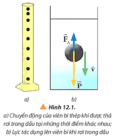 Quan sát hình 12.1, vẽ vectơ lực cản của dầu tác dụng lên viên bi và mô tả chuyển động Cau Hoi 2 Trang 74 Vat Li 10