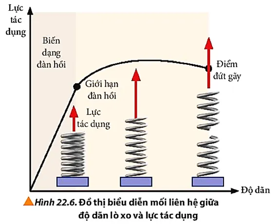 Quan sát Hình 22.6, nhận xét sơ lược về tính chất của lò xo khi tăng lực tác dụng Cau Hoi 3 Trang 138 Vat Li 10