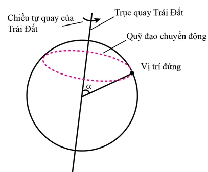 Em đứng yên trên mặt đất. Vì Trái Đất tự quay quanh trục của nó nên em cũng chuyển Cau Hoi 5 Trang 128 Vat Li 10