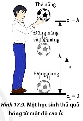 Phân tích lực tác dụng lên quả bóng và sự chuyển hóa giữa động năng và thế năng Cau Hoi 7 Trang 110 Vat Li 10